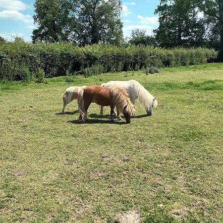 La Mini Ferme Normande Juignettes