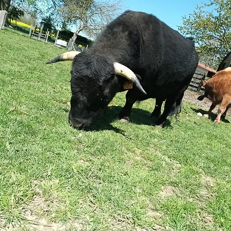 La Mini Ferme Normande Nyaraló