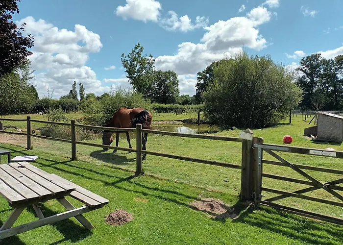 La Mini Ferme Normande * Juignettes