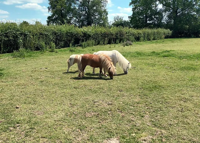 La Mini Ferme Normande Juignettes