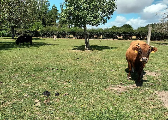 Hébergement de vacances La Mini Ferme Normande