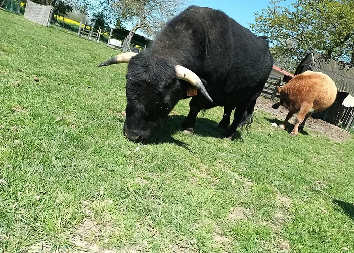 La Mini Ferme Normande Hébergement de vacances